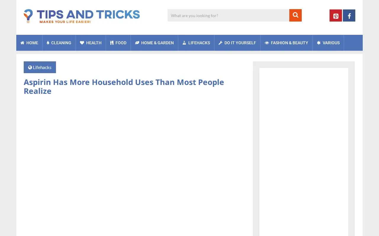 Landing page screenshot for www.tips-and-tricks.co