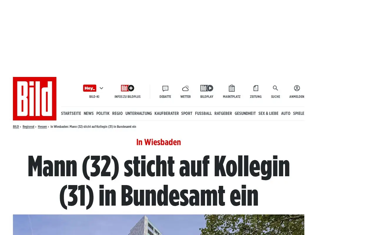 Landing page screenshot for www.bild.de