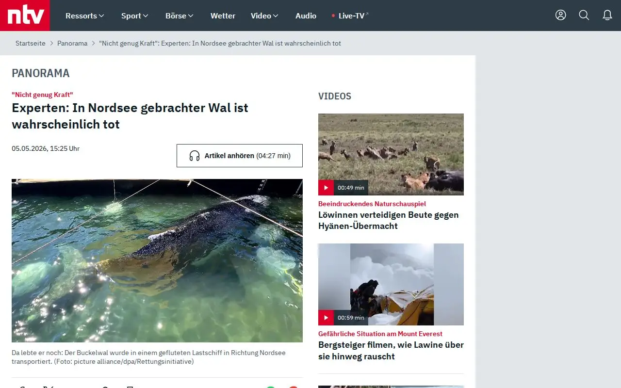Landing page screenshot for www.n-tv.de
