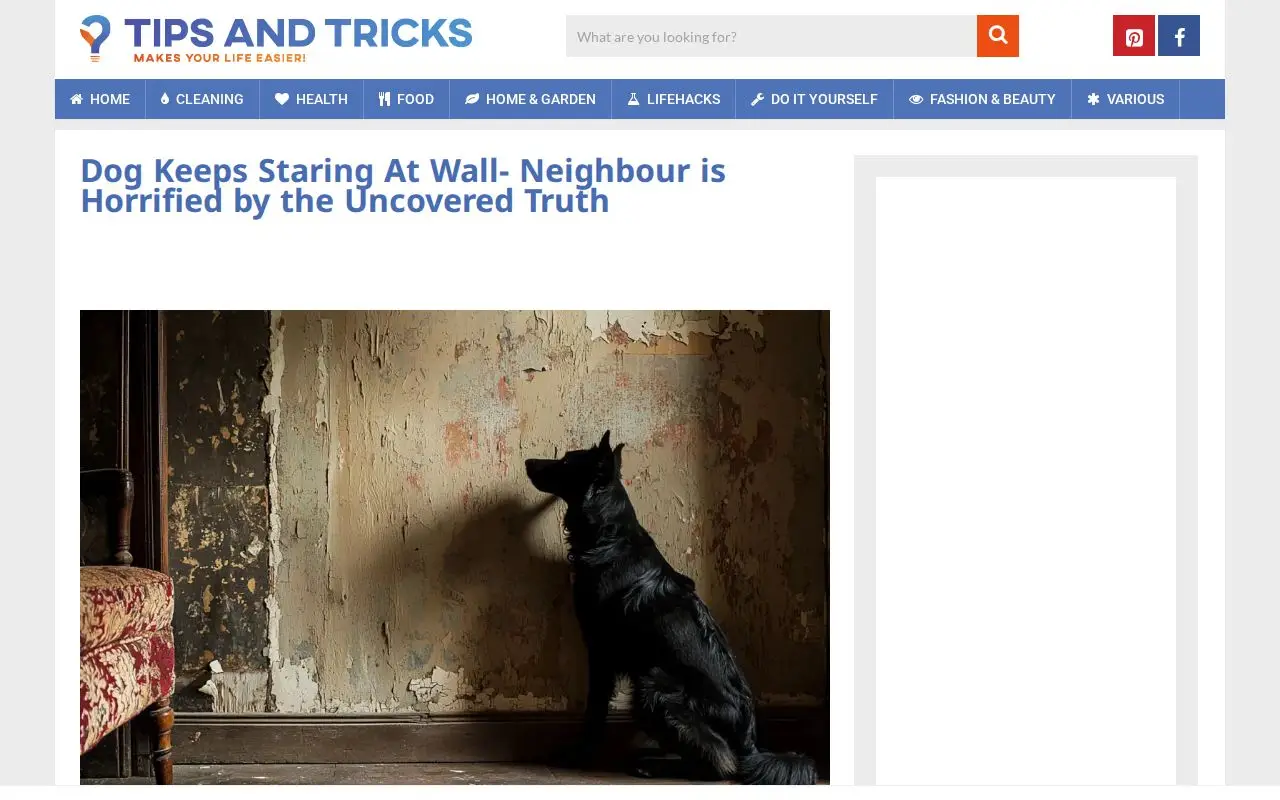 Funnel page 2 for www.tips-and-tricks.co