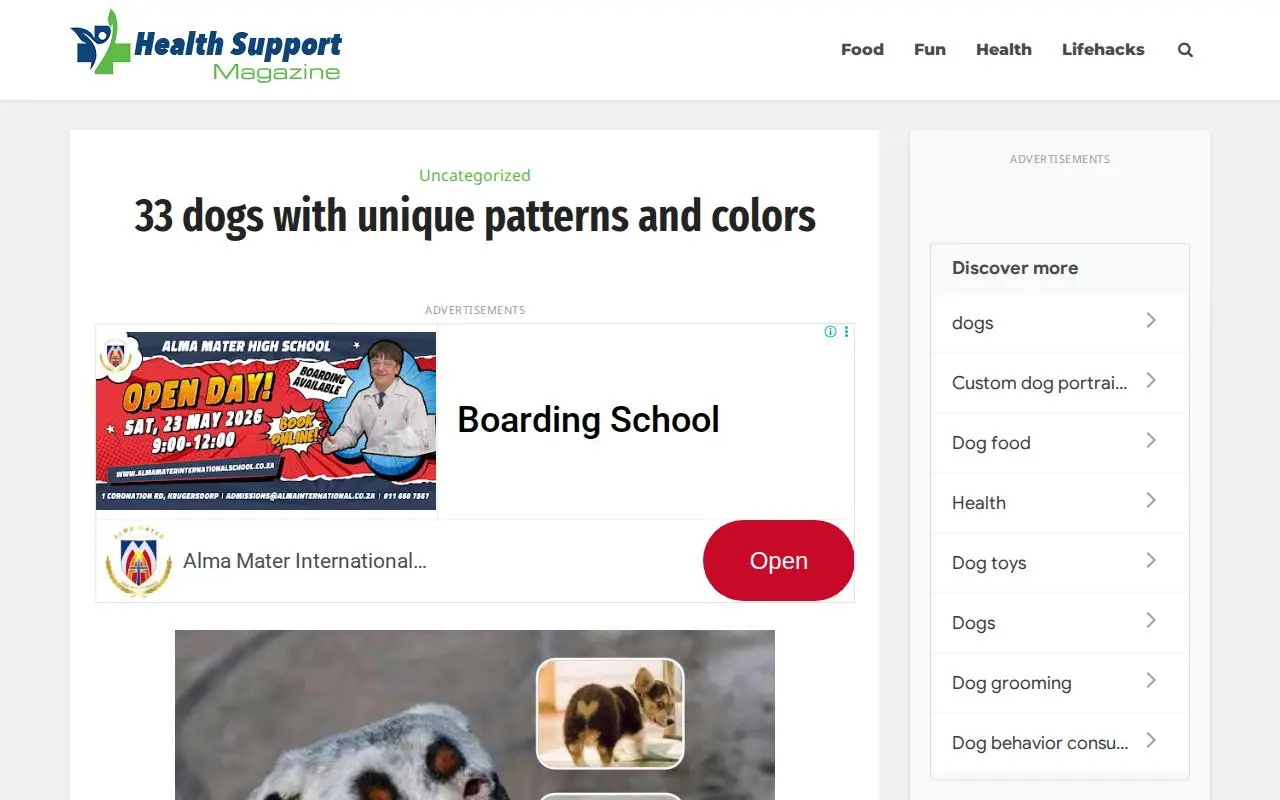 Landing page screenshot for healthsupportmag.com