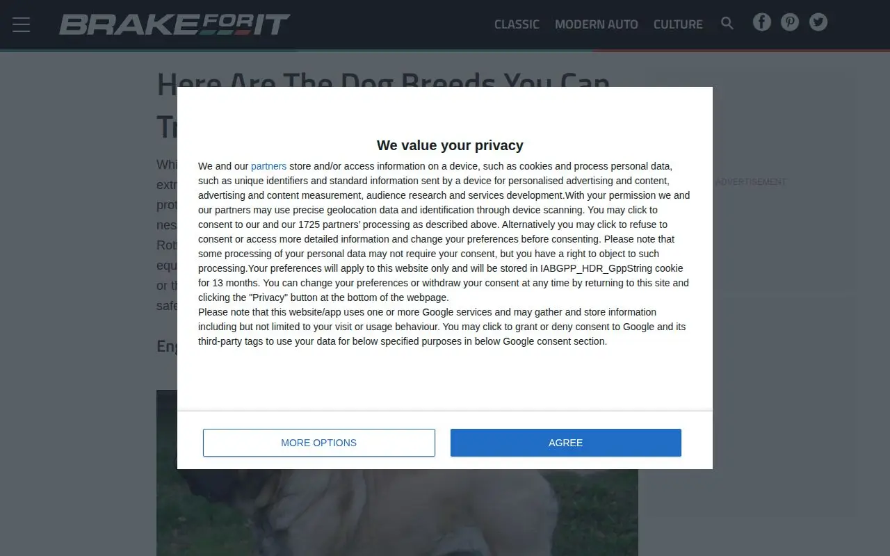 Landing page screenshot for www.brakeforit.com