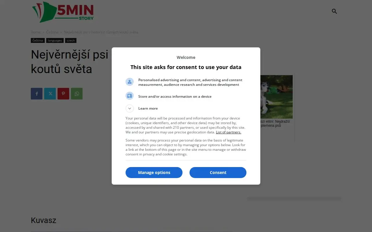Funnel page 3 for 5minstory.com