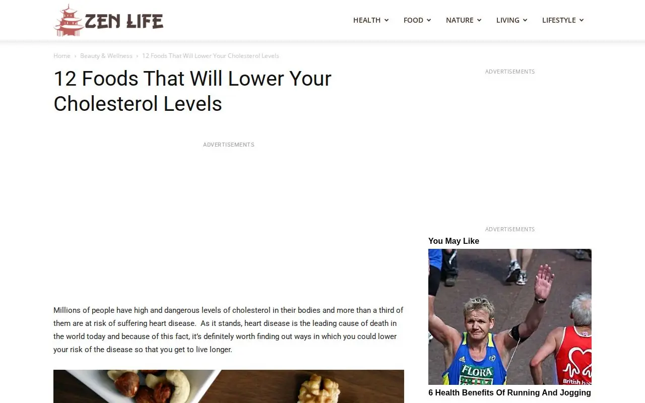 Landing page screenshot for zenlifemag.com