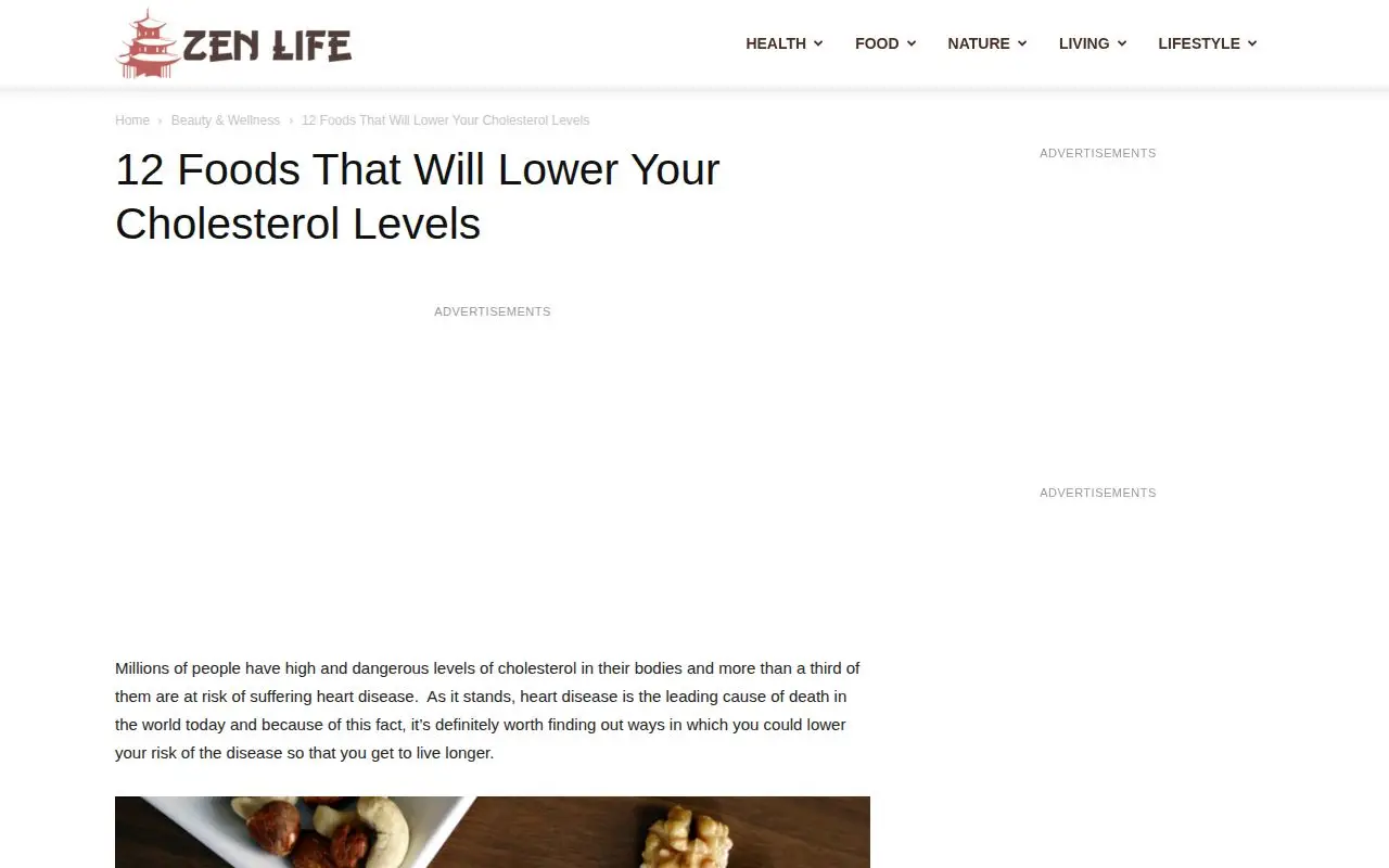 Landing page screenshot for zenlifemag.com