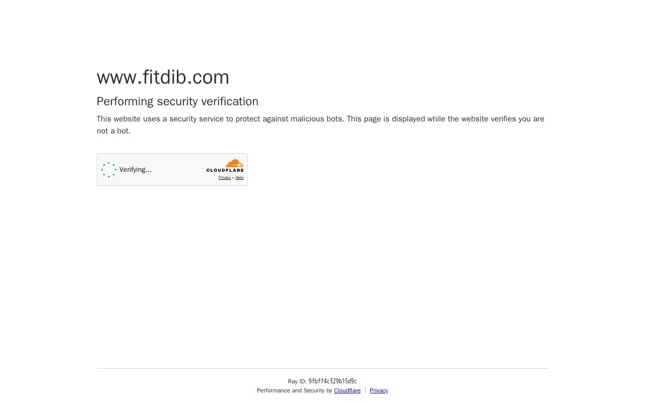 Landing page screenshot for www.fitdib.com