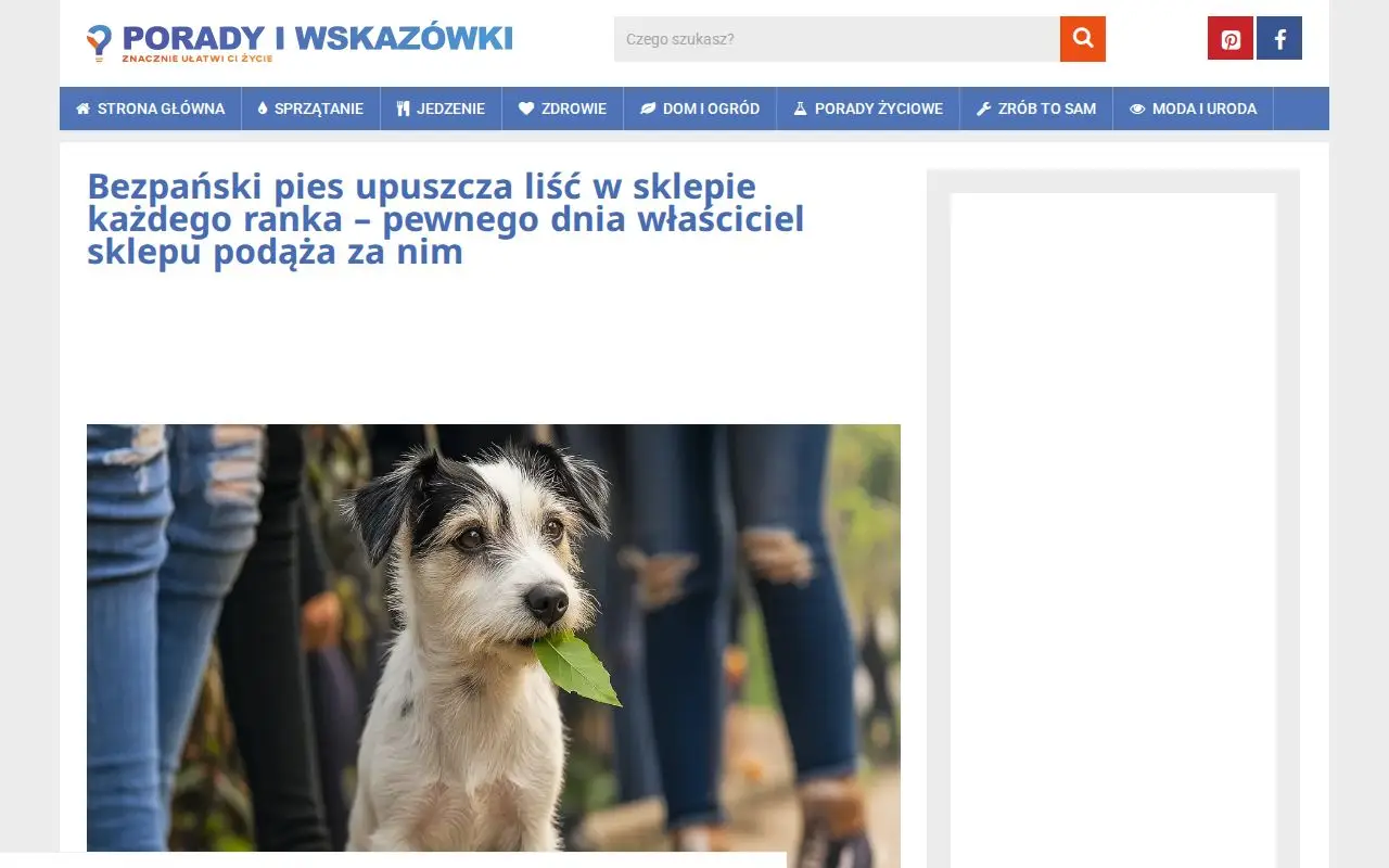 Funnel page 2 for www.poradyiwskazowki.pl
