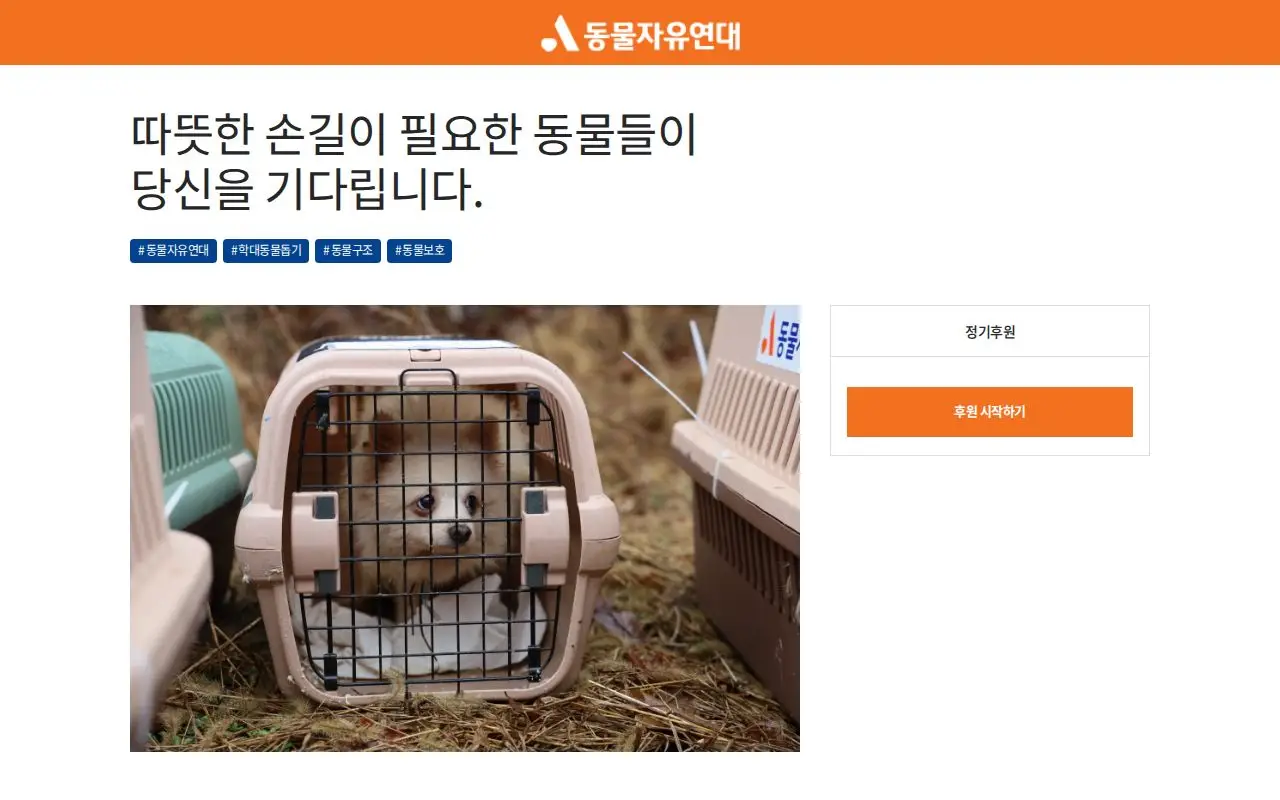 학대당한 동물들이 아픔은 잊고 따뜻함을 알아갈 수 있도록, 지금 도와주세요.