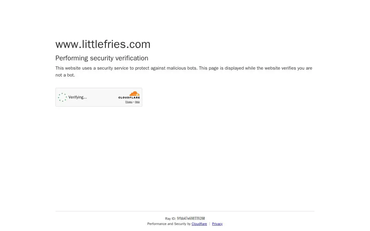 Landing page screenshot for www.littlefries.com