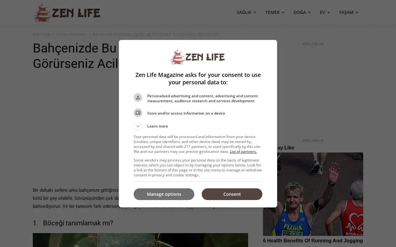 Landing page screenshot for zenlifemag.com