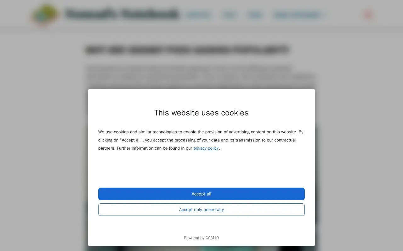 Landing page screenshot for nomads-notebook.com