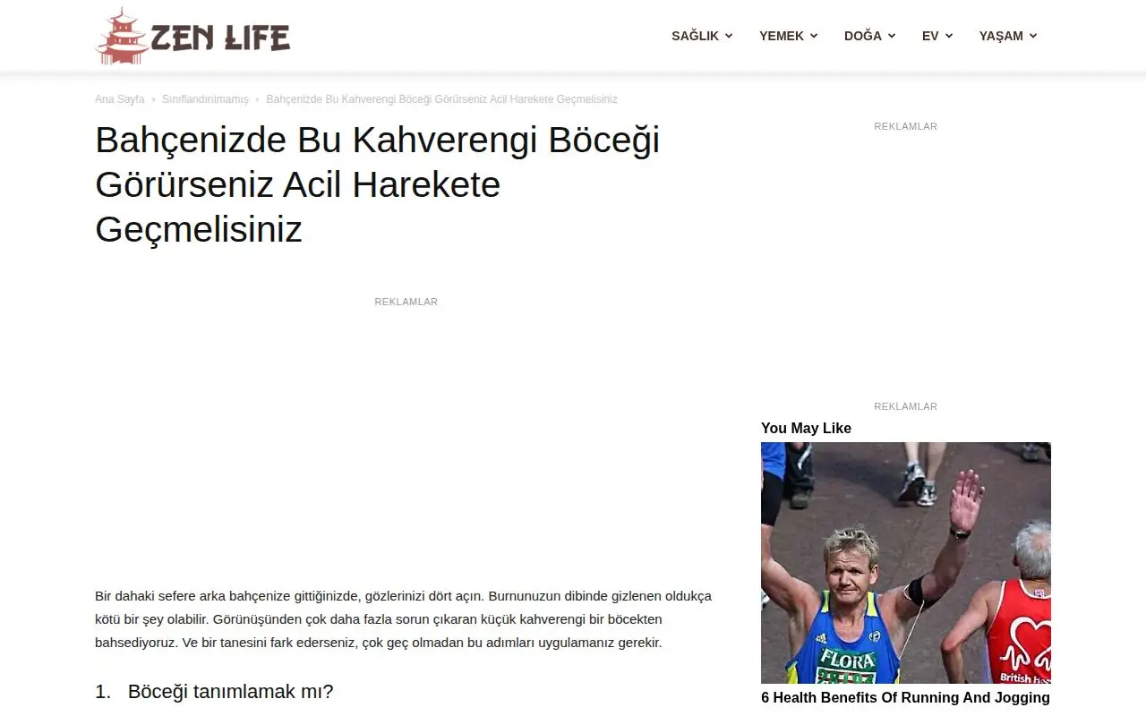 Landing page screenshot for zenlifemag.com