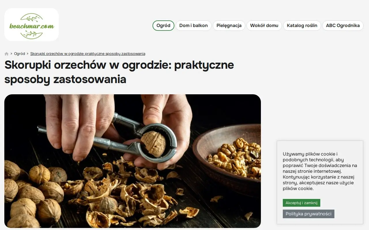 Landing page screenshot
