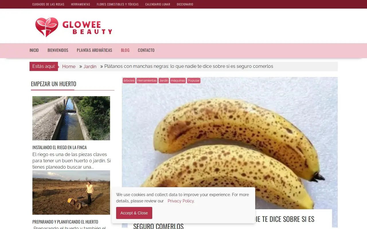 Landing page screenshot