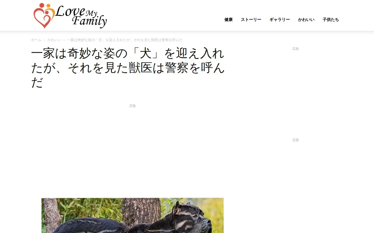 Landing page screenshot