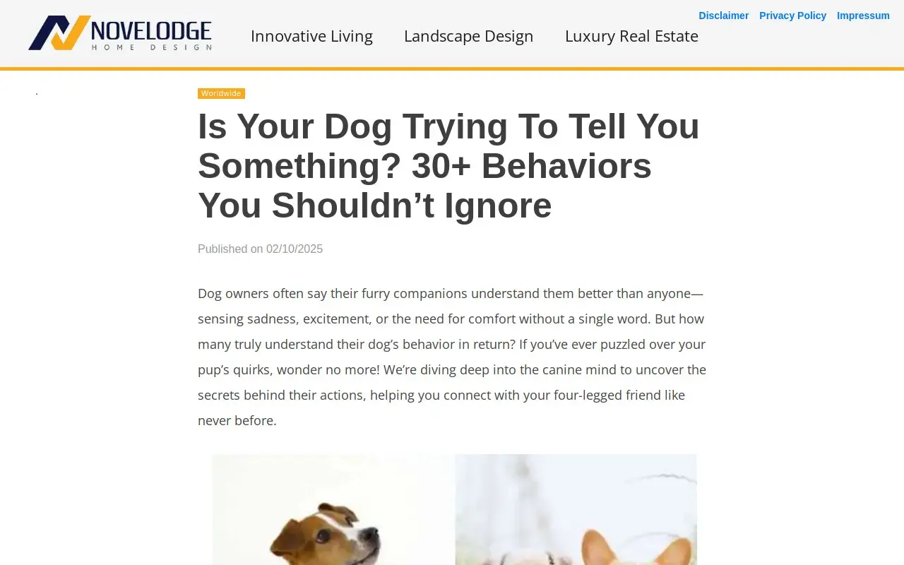 Landing page screenshot