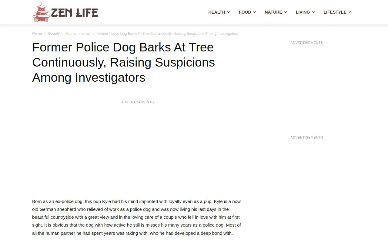 Landing page screenshot