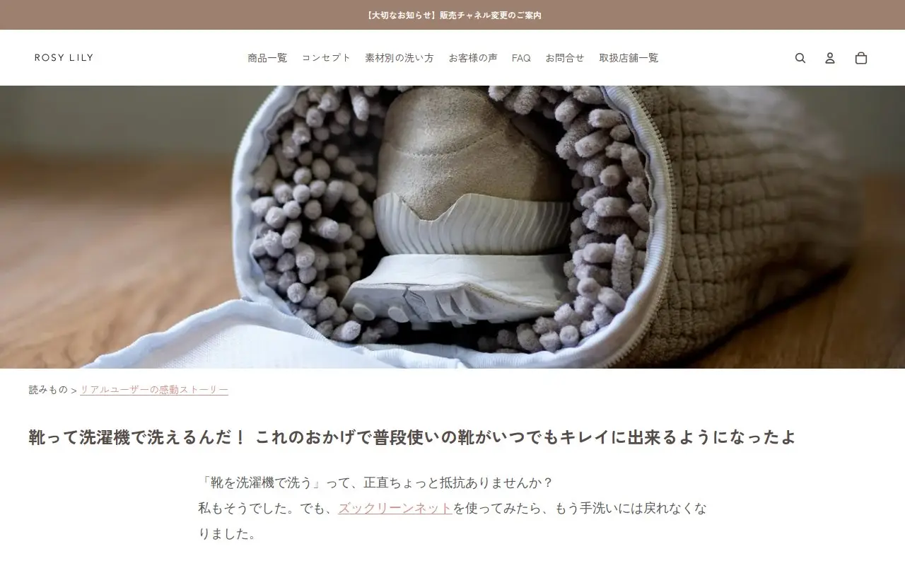 Landing page screenshot