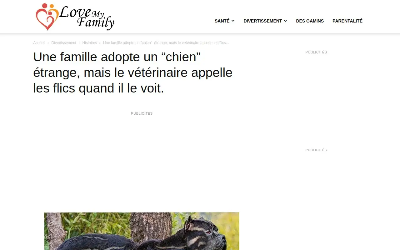 Landing page screenshot