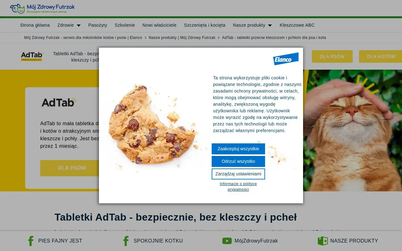 Landing page screenshot