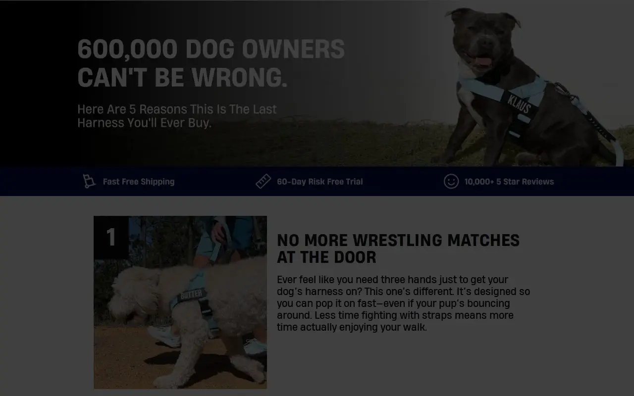 Landing page screenshot